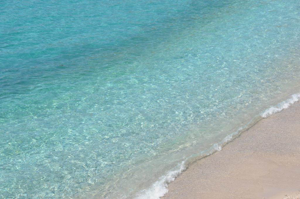 Apartment Lucky Budva Rum bild